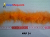 MRP 24 medium.jpg